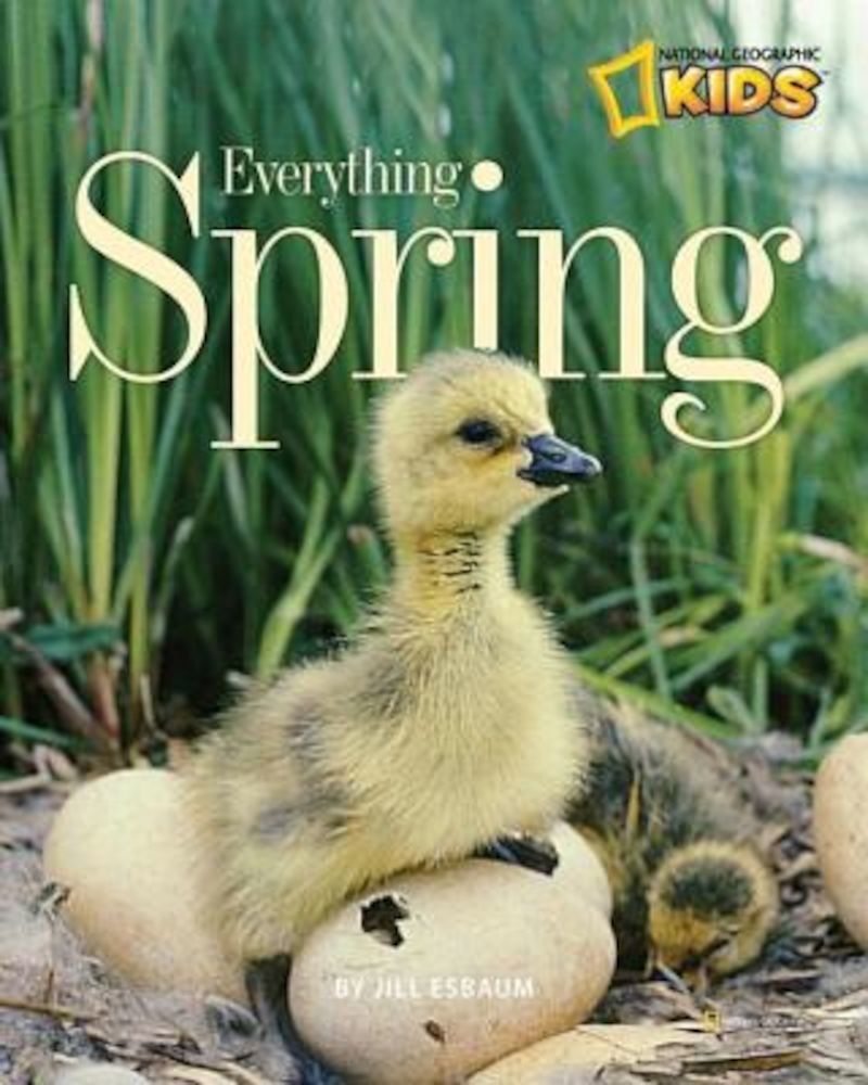 Everything Spring, Paperback fotografia produsului