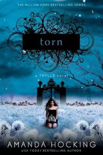 Torn, Paperback/Amanda Hocking